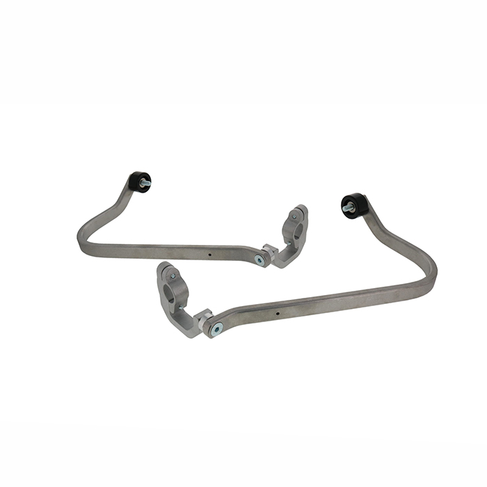 Daisy on the Ohoopee